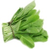 Cải xanh baby an toàn
